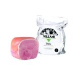 PROSC.COTTO DALIA VILLANI