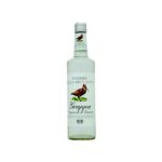 GRAPPA BECCACCIA CL.70